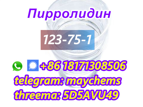 Factory sell Pyrrolidine CAS 123-75-1 with best price and fast deliver,Russia,Services,Other Services,77traders
