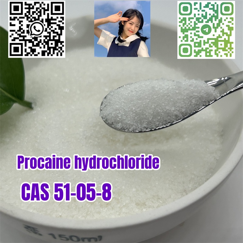 Procaine hydrochloride 51-05-8,zhengzhou,Services,Other Services,77traders