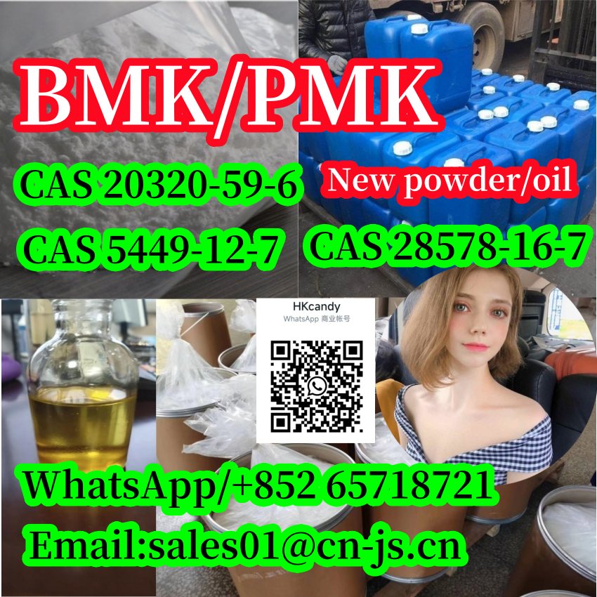 BMK Glycidic Acid,shijiazhuang,Others,Services,77traders
