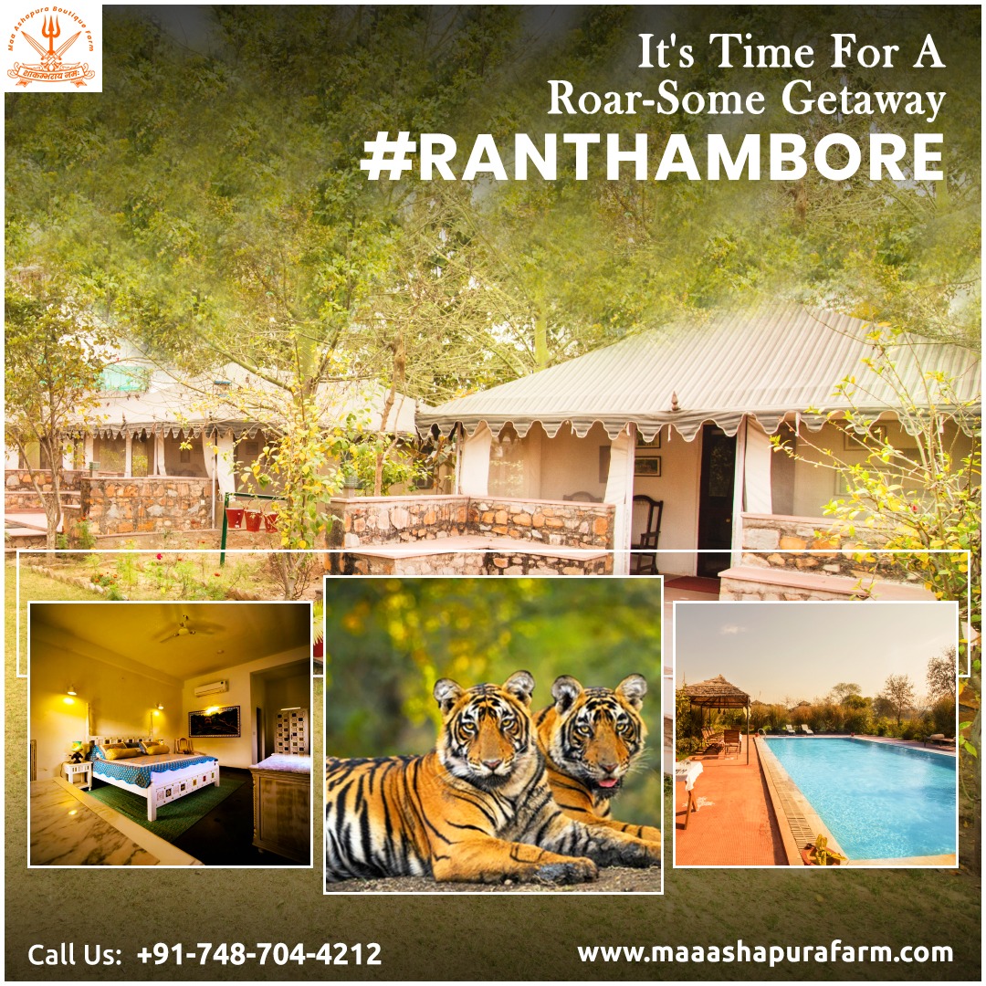 Best Resorts in Ranthambore - Maa Ashapura Farm,Sawai Madhopur, Rajasthan, India,Services,Free Classifieds,Post Free Ads,77traders.com