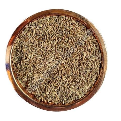 Cumin seeds exporter in Gujarat | Shreeganeshagro,MORBI,Agriculture,Vegetables,77traders